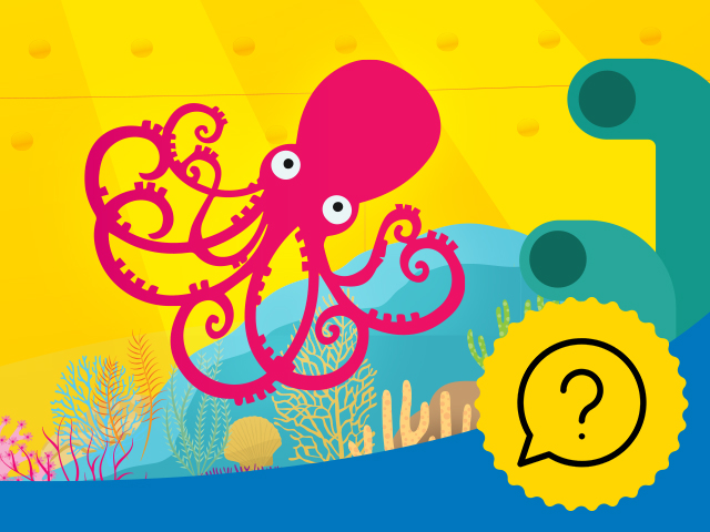 Beatles octopus tuin quiz