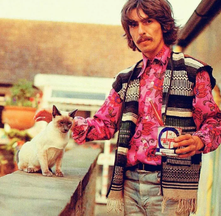 #PaperbackWriter – From monkeys to Martha: The influence of animals on The Beatles